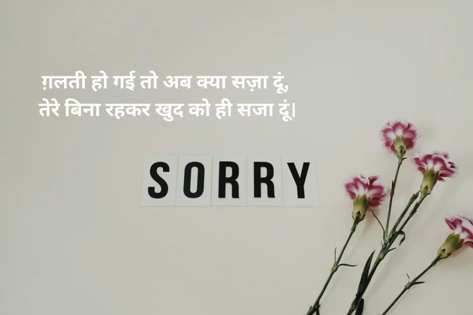 Sorry Shayari