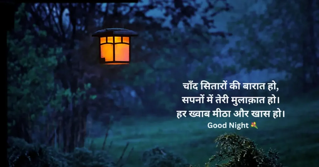good night shayari in hindi image