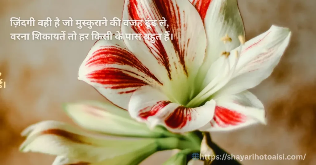 new shayari